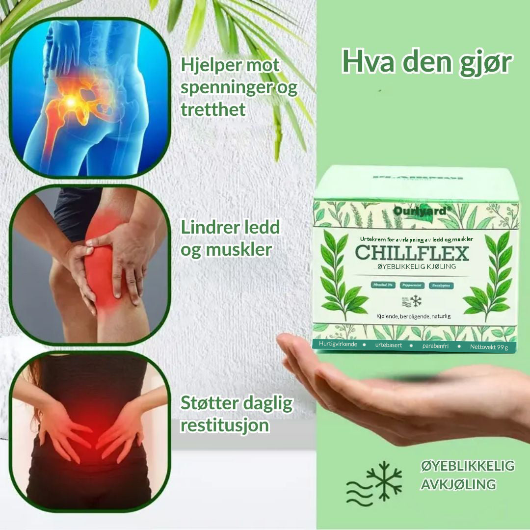 🔥Offisiell butikk: Ourlyard® Chillflex Mint Smertelindrende Krem (Behandling for leddgikt, nervesmerter, revmatiske sykdommer, muskelkramper, rykninger og idrettsskader)