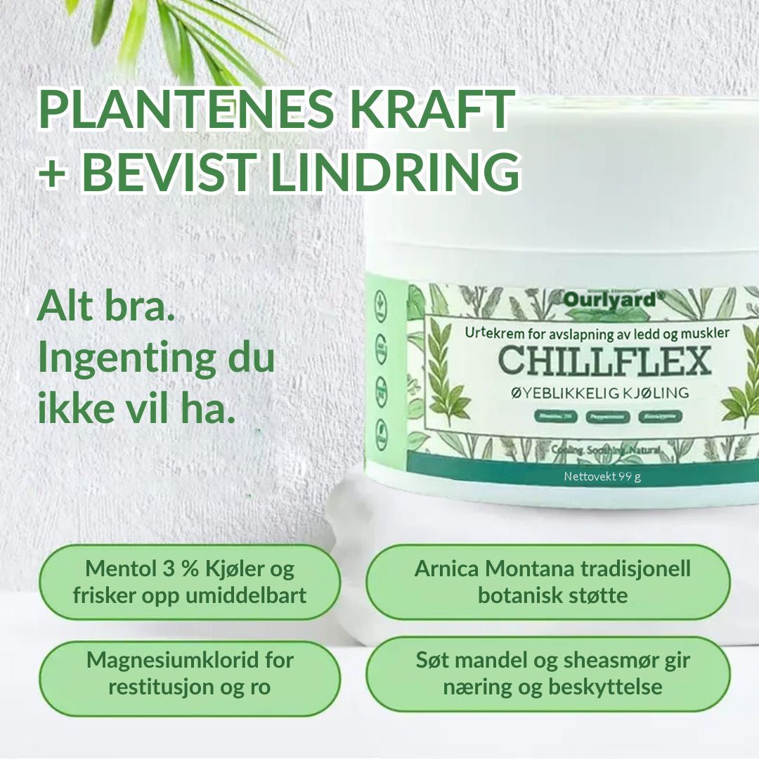 🔥Offisiell butikk: Ourlyard® Chillflex Mint Smertelindrende Krem (Behandling for leddgikt, nervesmerter, revmatiske sykdommer, muskelkramper, rykninger og idrettsskader)
