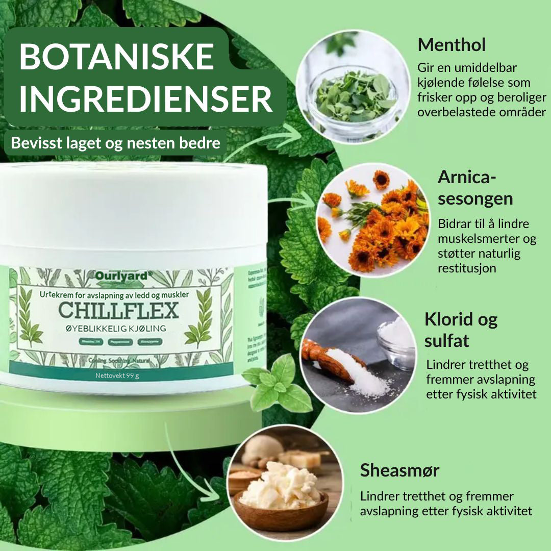 🔥Offisiell butikk: Ourlyard® Chillflex Mint Smertelindrende Krem (Behandling for leddgikt, nervesmerter, revmatiske sykdommer, muskelkramper, rykninger og idrettsskader)