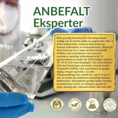🔥Offisiell butikk: Ourlyard® Chillflex Mint Smertelindrende Krem (Behandling for leddgikt, nervesmerter, revmatiske sykdommer, muskelkramper, rykninger og idrettsskader)