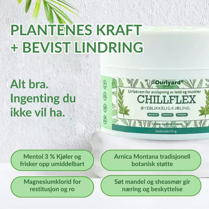 🔥Offisiell butikk: Ourlyard® Chillflex Mint Smertelindrende Krem (Behandling for leddgikt, nervesmerter, revmatiske sykdommer, muskelkramper, rykninger og idrettsskader)